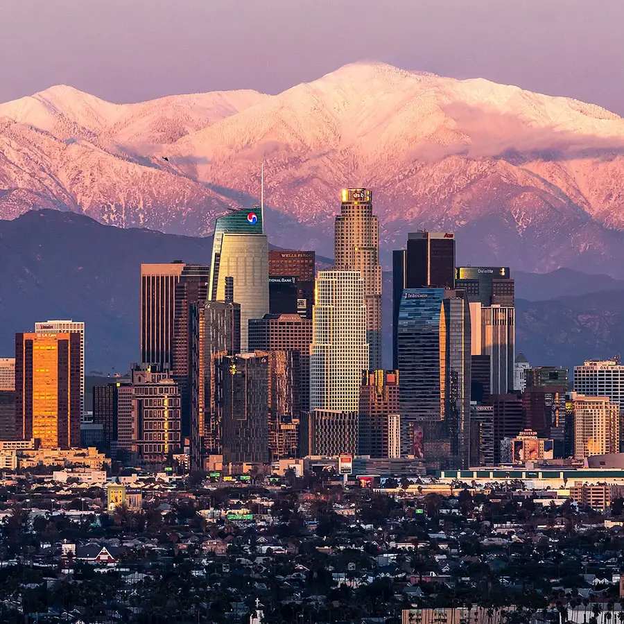 DTLA (1)