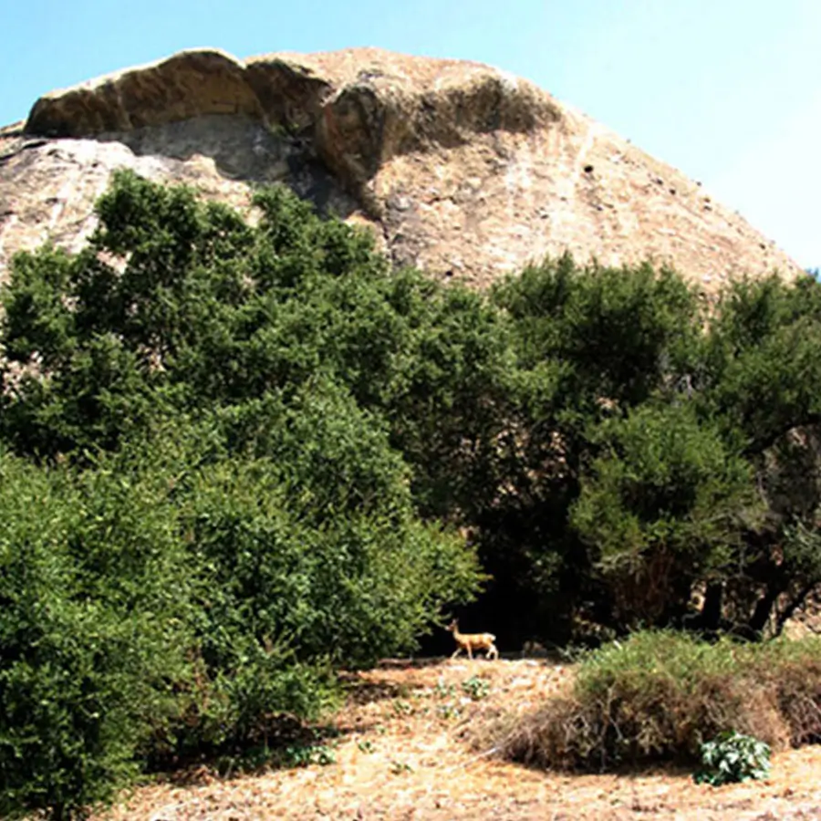 Eaglerock (1)