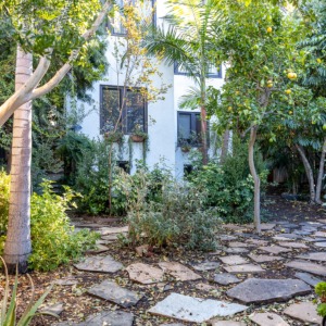 Courtyard of multifamily property