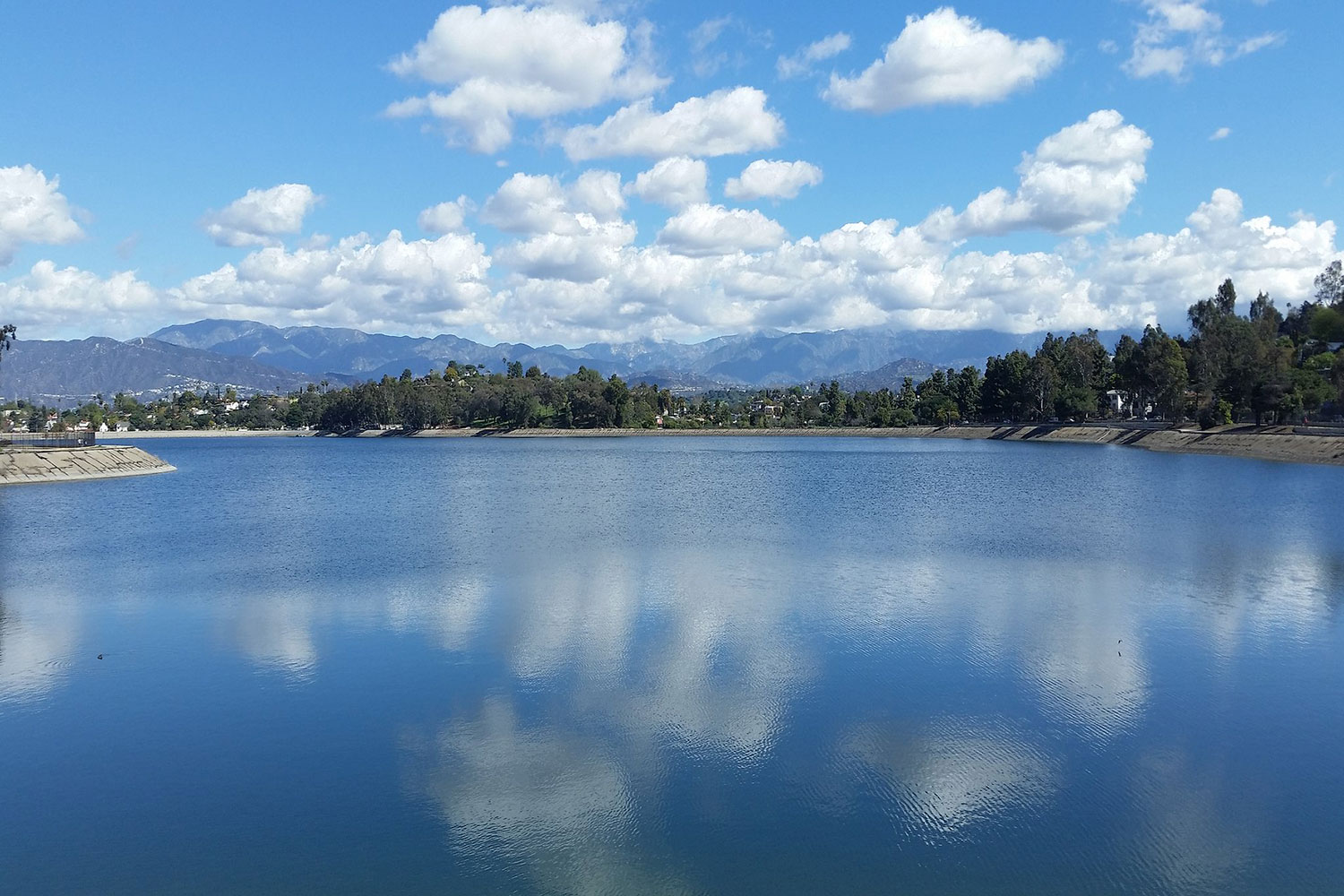 Share the Best of Silver Lake