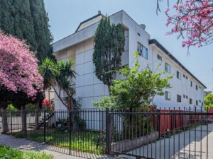 Large apartment building with pink flowered trees in the foreground